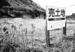 売れ残った更地